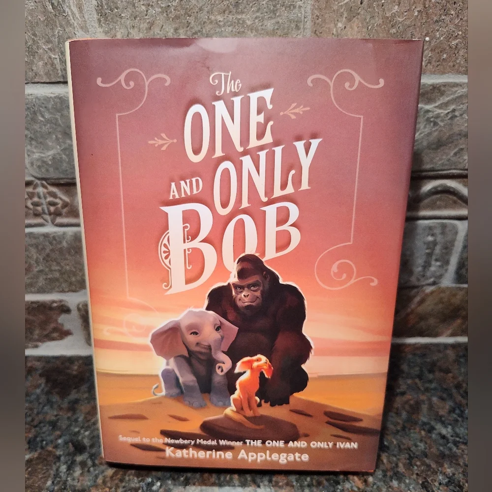 The One and Only Bob Book, Hardcover